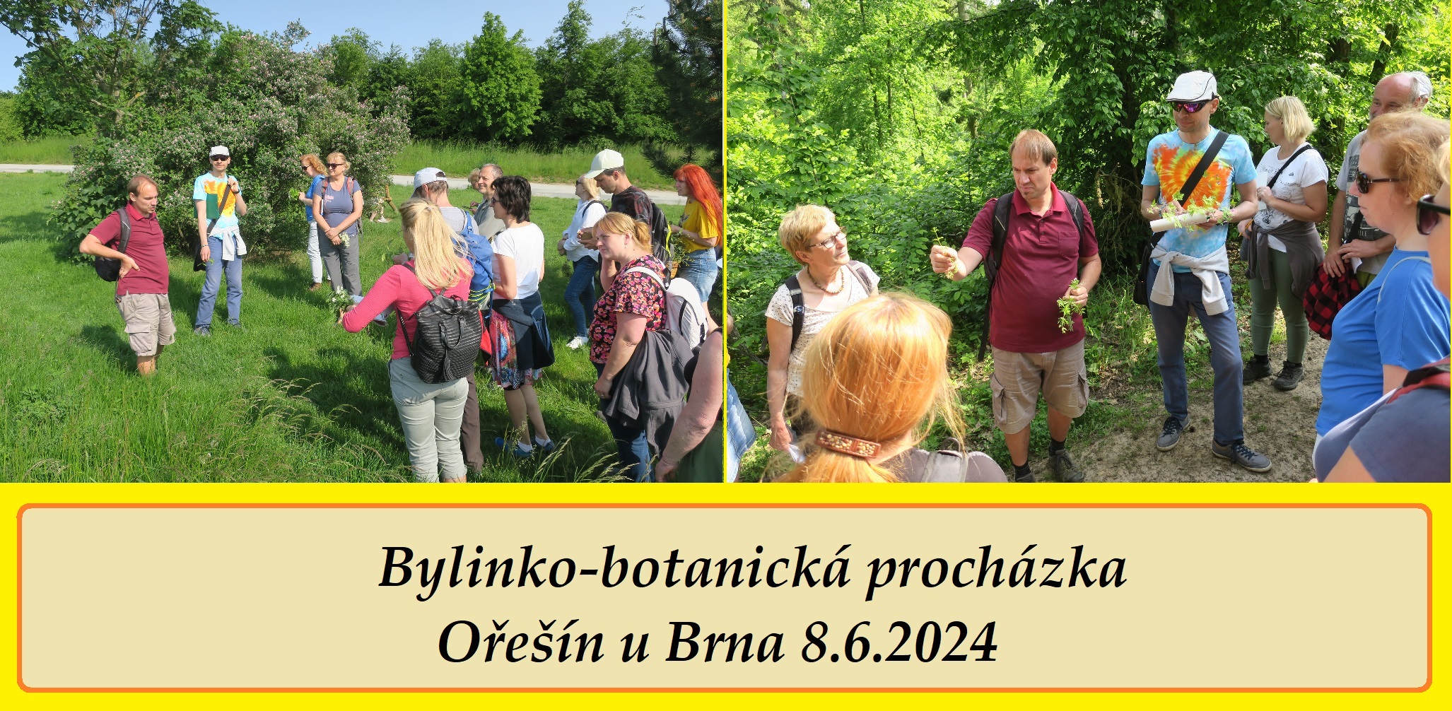 bylinko botanicka prochazka u brna oresin 8 6 2024 13 cca 17 hod