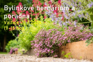 Bylinková poradna a herbárium Valtice 23.6.2024 MUDr. Zbyněk Mlčoch, Ing. Věra Žďárská