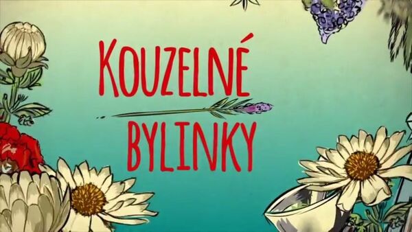 kouzelne bylinky mudr. zbynek mlcoch bylinkovy doktor