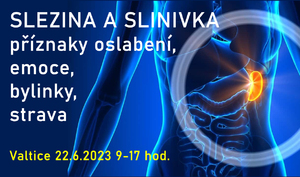 Kurz slezina a slinivka pohledem tradiční čínské medicíny - příznaky oslabení potraviny byliny režimová opatření