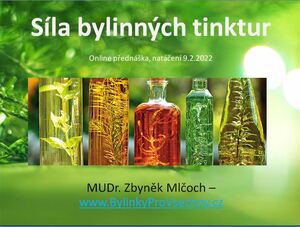 sila bylinnych tinktur online webinar prednaska