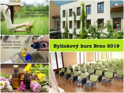 bylinkovy kurz brno 8 11 2019 maly