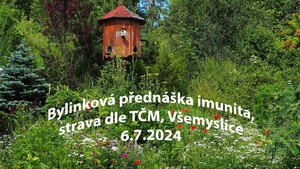 prednaska jak si udrzet fit imunitu strava podle tradicni cinske mediciny vsemyslice 6 7 2024 