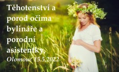 bylinkova-prednaska-olomouc-15-5-2022-tehotenstvi-a-porod-ocima-bylinare-a-porodni-asistentky