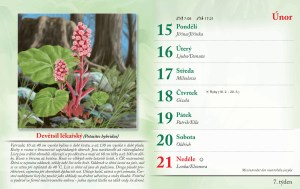 bylinkovy-kalendar-2027-10