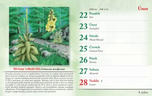 bylinkovy-kalendar-2027-11
