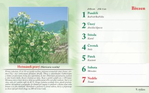 bylinkovy-kalendar-2027-12