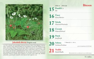 bylinkovy-kalendar-2027-14