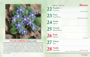 bylinkovy-kalendar-2027-15