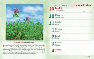 bylinkovy-kalendar-2027-16