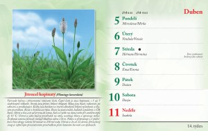bylinkovy-kalendar-2027-17