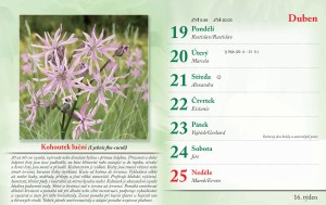 bylinkovy-kalendar-2027-19