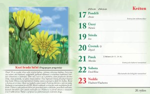 bylinkovy-kalendar-2027-23