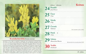 bylinkovy-kalendar-2027-24