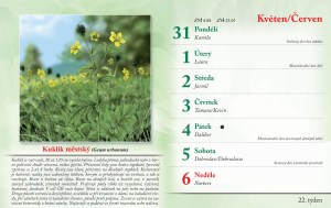 bylinkovy-kalendar-2027-25