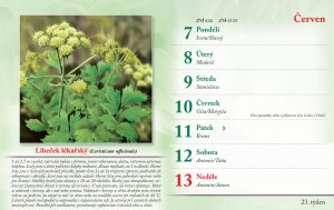 bylinkovy-kalendar-2027-26