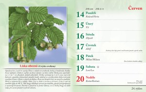bylinkovy-kalendar-2027-27