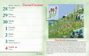 bylinkovy-kalendar-2027-29
