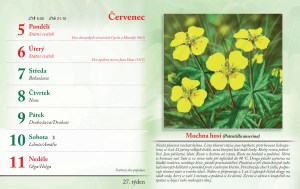 bylinkovy-kalendar-2027-30