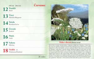 bylinkovy-kalendar-2027-31