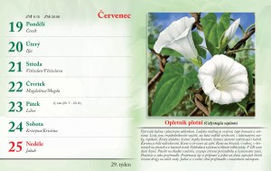 bylinkovy-kalendar-2027-32