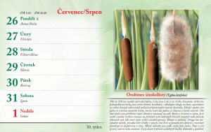 bylinkovy-kalendar-2027-33