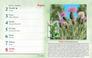 bylinkovy-kalendar-2027-34