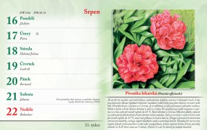 bylinkovy-kalendar-2027-36