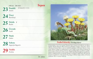 bylinkovy-kalendar-2027-37