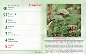 bylinkovy-kalendar-2027-38