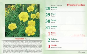 bylinkovy-kalendar-2027-3