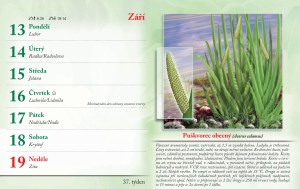 bylinkovy-kalendar-2027-40
