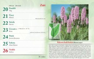 bylinkovy-kalendar-2027-41