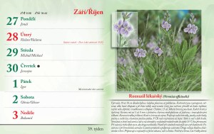 bylinkovy-kalendar-2027-42