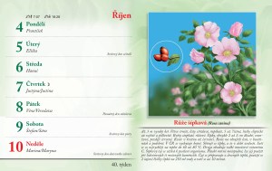 bylinkovy-kalendar-2027-43