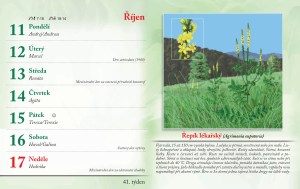 bylinkovy-kalendar-2027-44