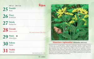 bylinkovy-kalendar-2027-46