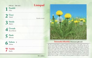 bylinkovy-kalendar-2027-47