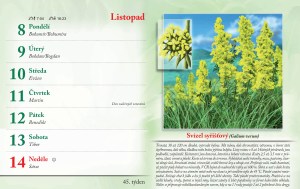 bylinkovy-kalendar-2027-48