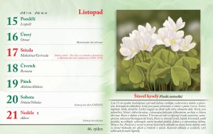 bylinkovy-kalendar-2027-49