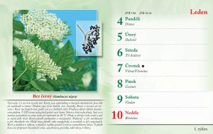 bylinkovy-kalendar-2027-4