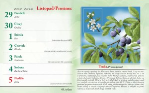 bylinkovy-kalendar-2027-51