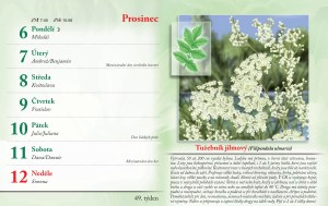 bylinkovy-kalendar-2027-52