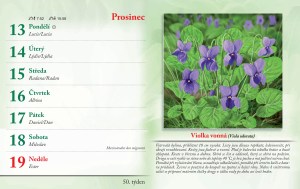 bylinkovy-kalendar-2027-53