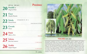 bylinkovy-kalendar-2027-54