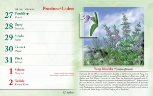bylinkovy-kalendar-2027-55