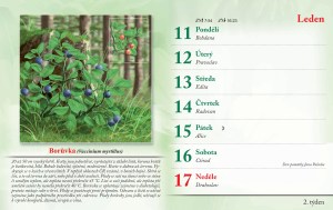 bylinkovy-kalendar-2027-5