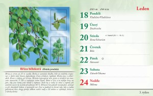 bylinkovy-kalendar-2027-6