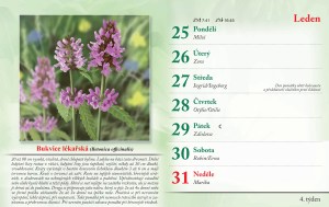 bylinkovy-kalendar-2027-7