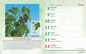 bylinkovy-kalendar-2027-9